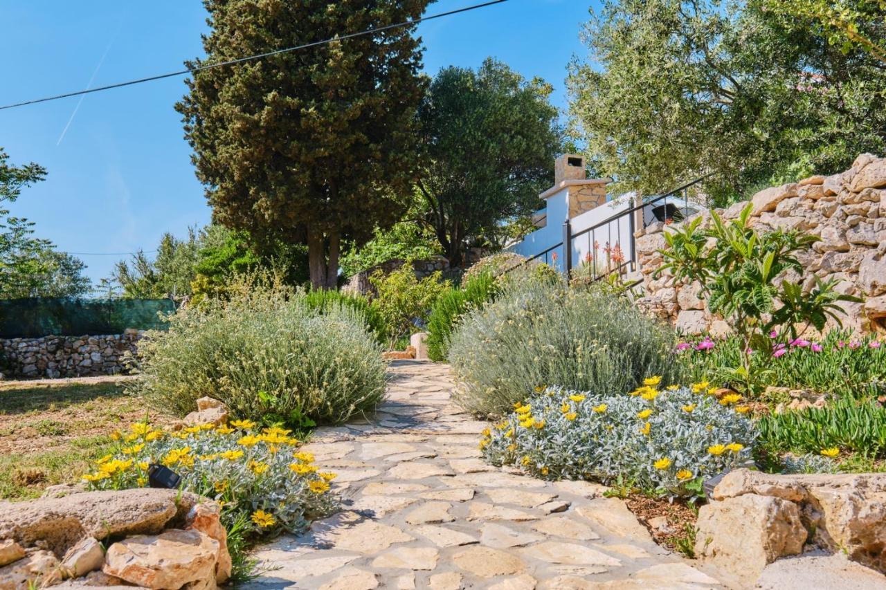 Country House Čunski Dış mekan fotoğraf
